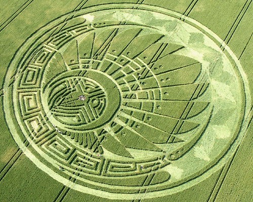 Crop Circles Tracce Di Intelligenza Agoravox Italia - 