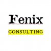 Fenix_Consulting