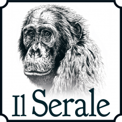 Il Serale